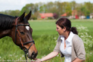 Fotoshoot Paarden